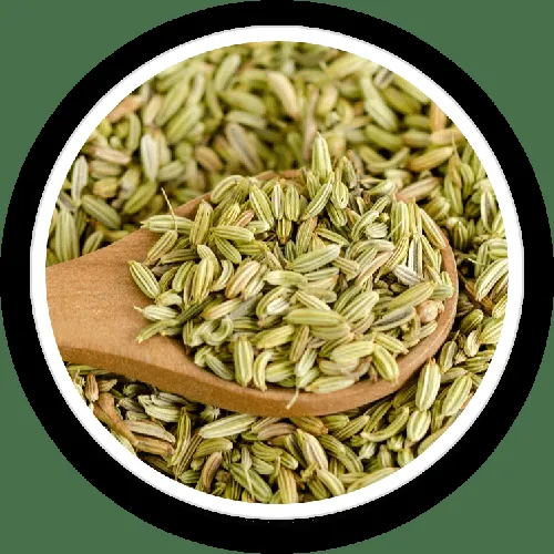 Fennel Seed Powder
