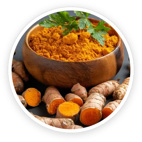 Turmeric Root Extract